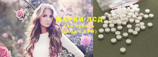 PSILOCYBIN Алзамай